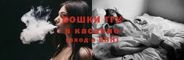 альфа пвп Горнозаводск