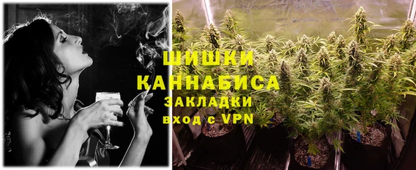 соль ск Дмитровск