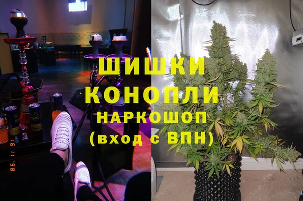 гидропоника Горняк