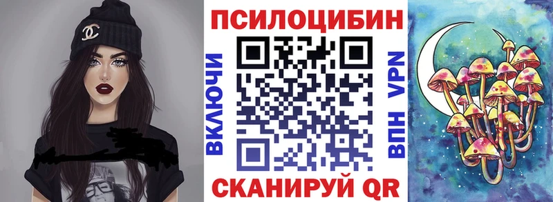 Псилоцибиновые грибы Psilocybe  Купить где  Бологое 